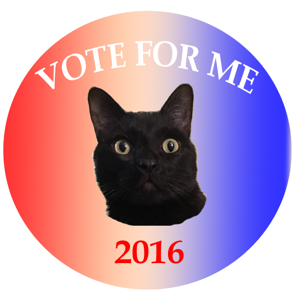 vote-for-george-button-2-copy